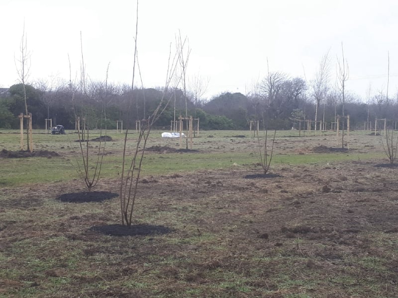 field