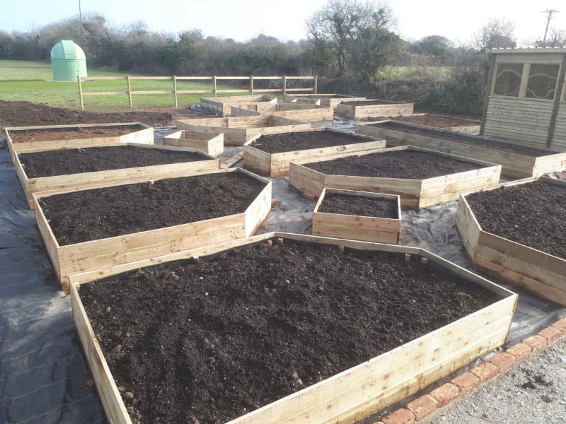 veg beds