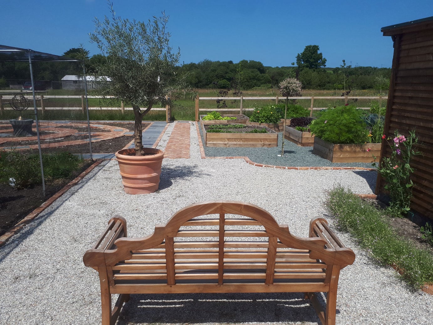 veg plot