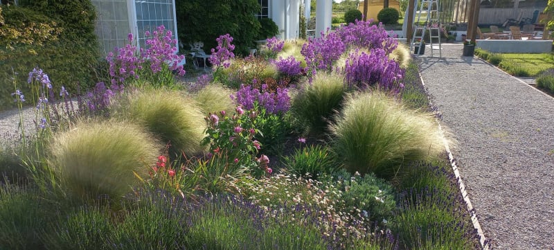 grass bed