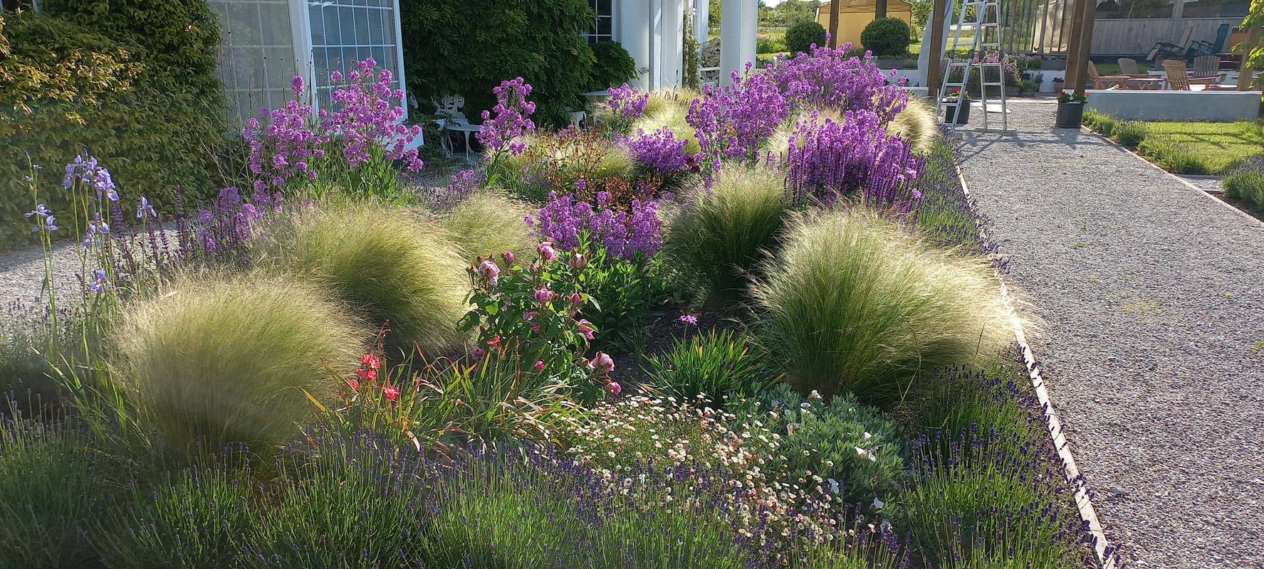grass bed