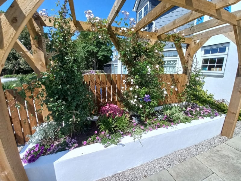 pergola bed