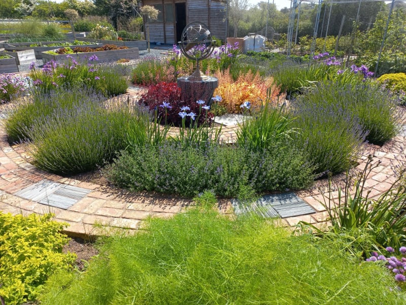 herb garden